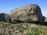 Каменная, image of landscape/habitat.