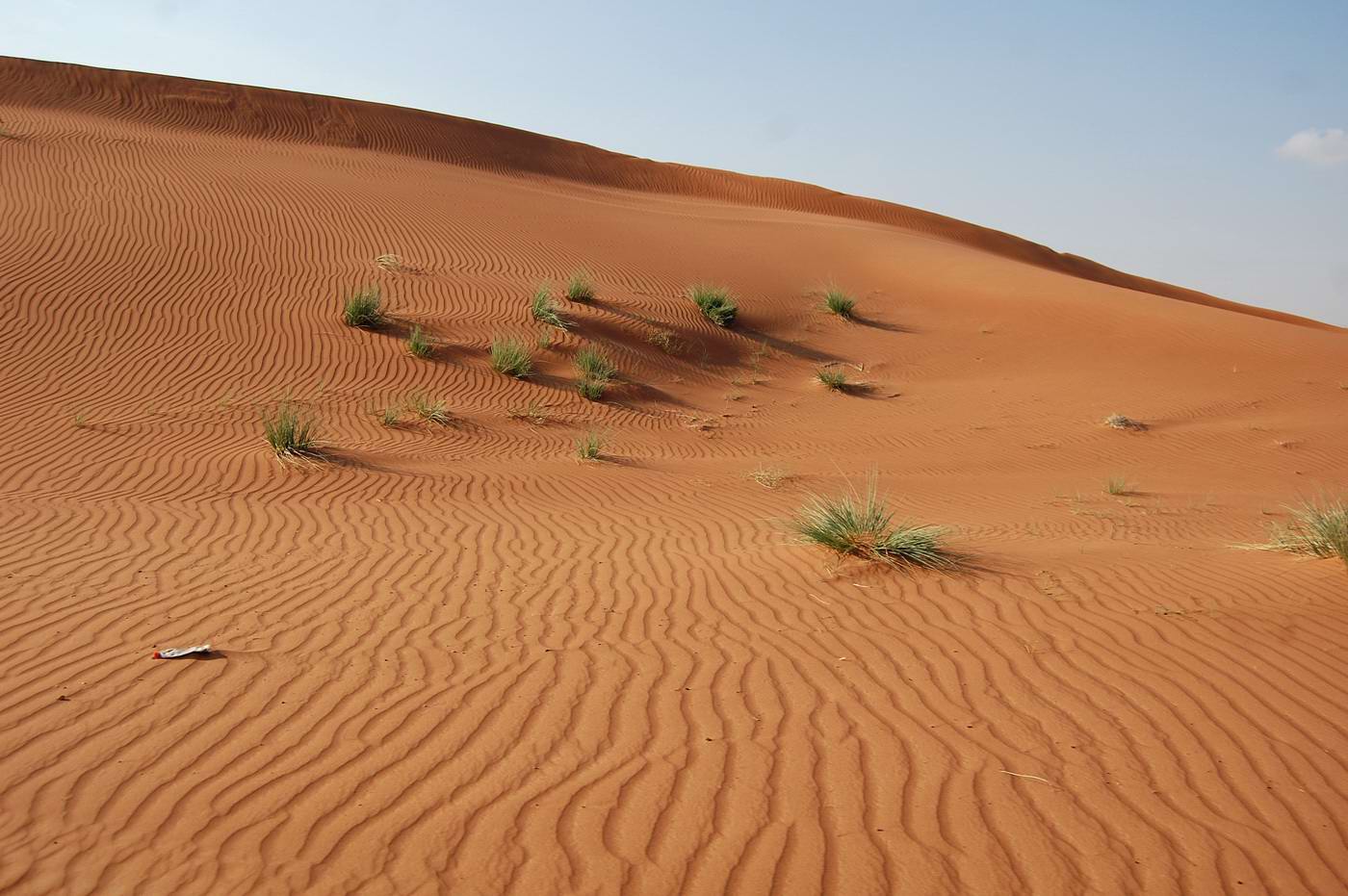 Эльгайль, image of landscape/habitat.