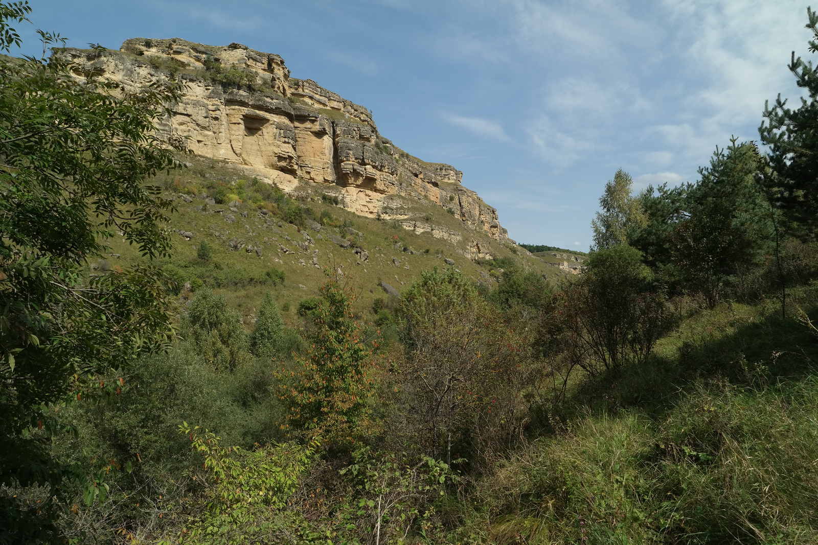 Берёзовское ущелье, изображение ландшафта.