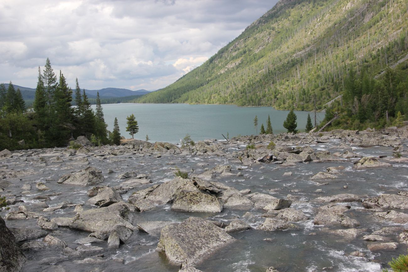 Урочище Шумы, image of landscape/habitat.