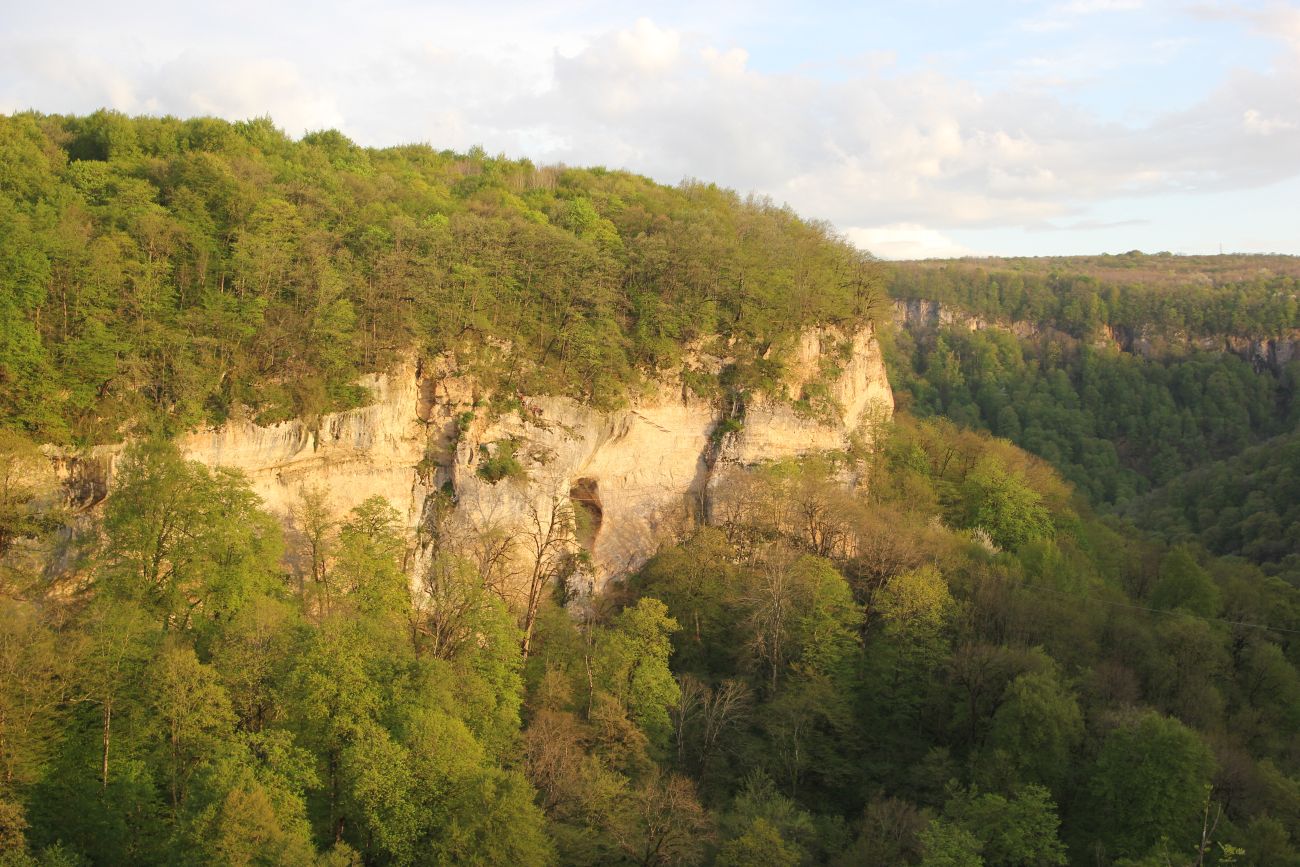 Долина реки Мишоко, image of landscape/habitat.