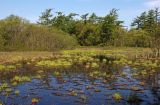 Вал, image of landscape/habitat.