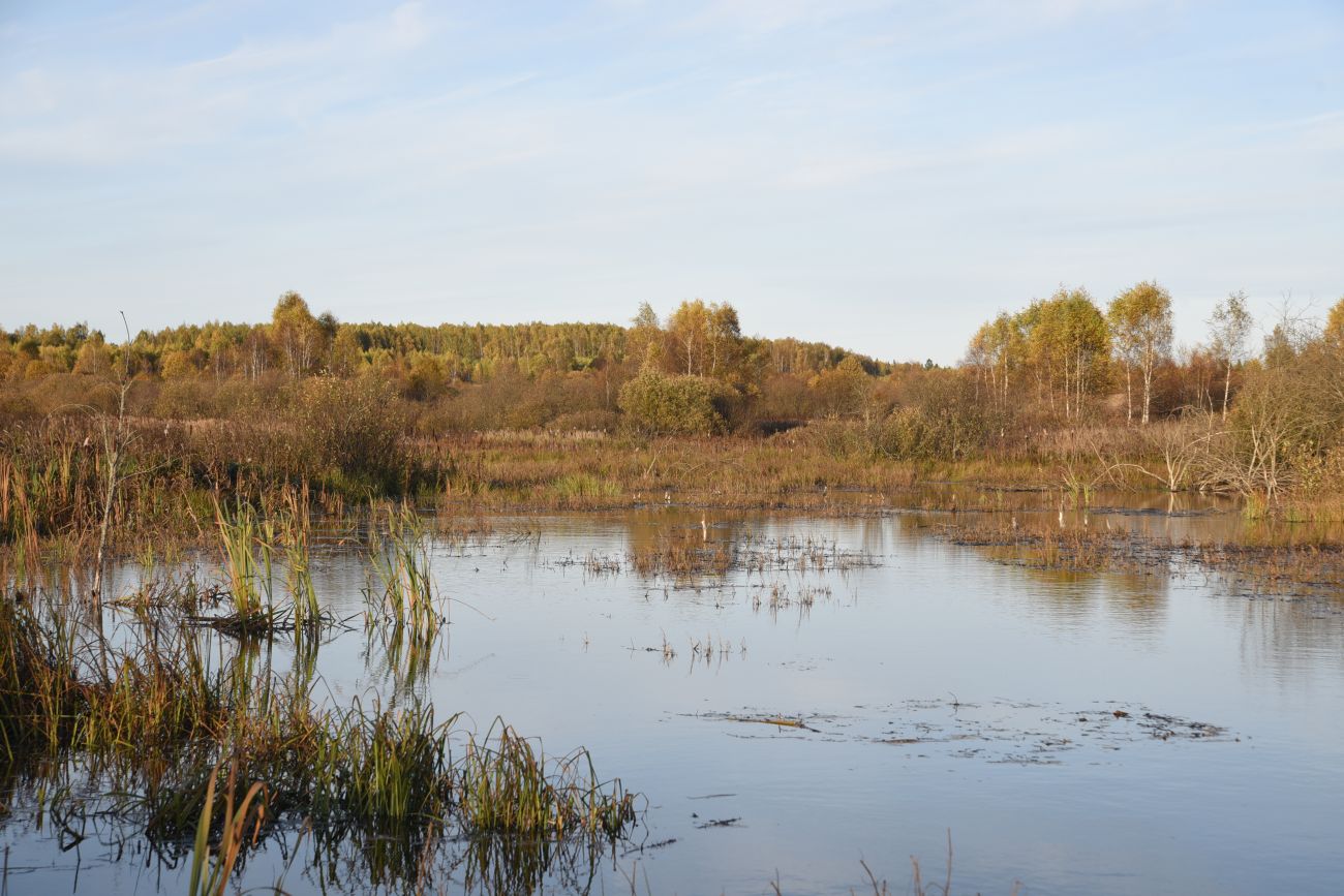 Окрестности деревни Никитск, image of landscape/habitat.