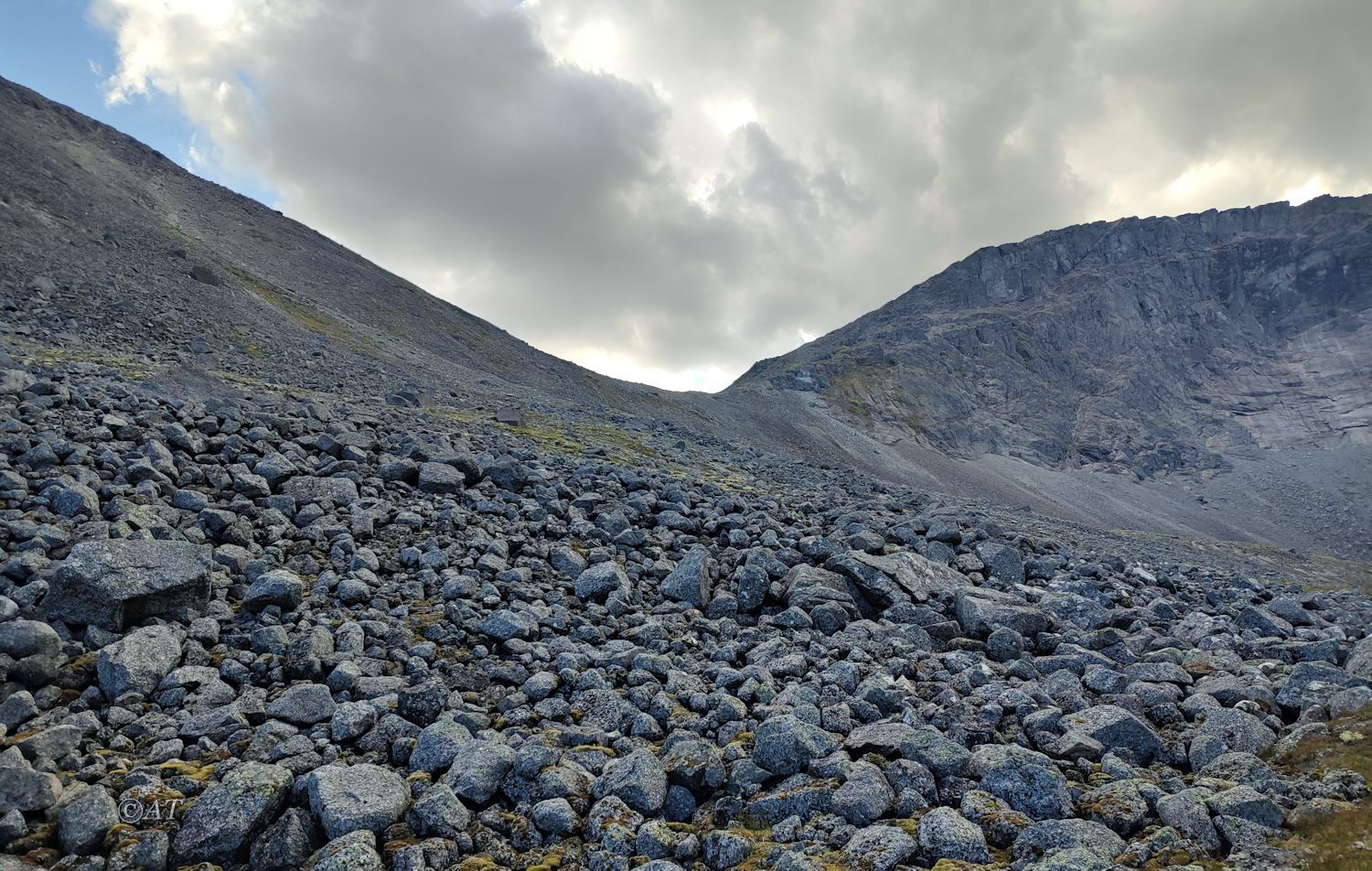 Верховья руч. Петрелиуса, image of landscape/habitat.