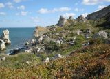 Image of landscape