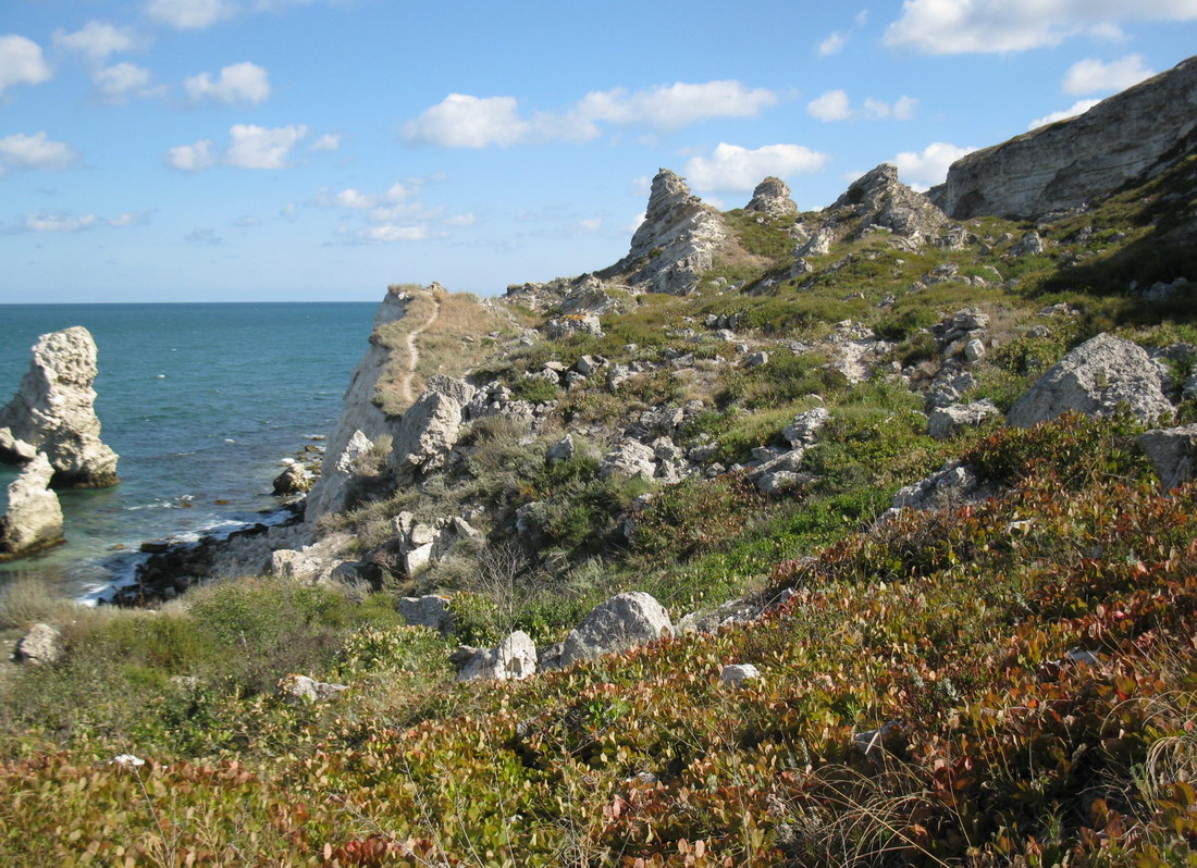 Джангуль, image of landscape/habitat.