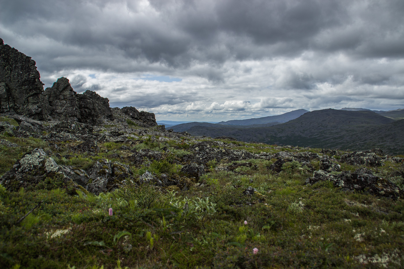 Серебрянский камень, image of landscape/habitat.