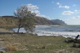 Landscape image
