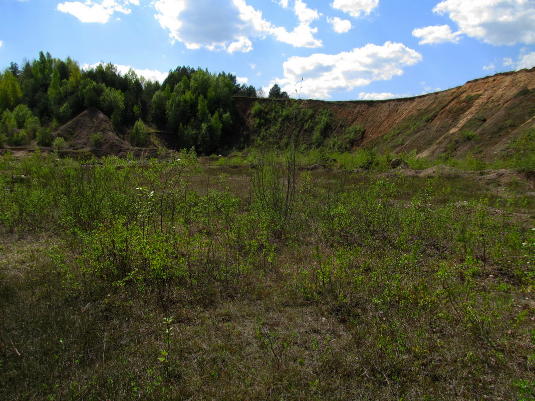 Песчаный карьер, image of landscape/habitat.