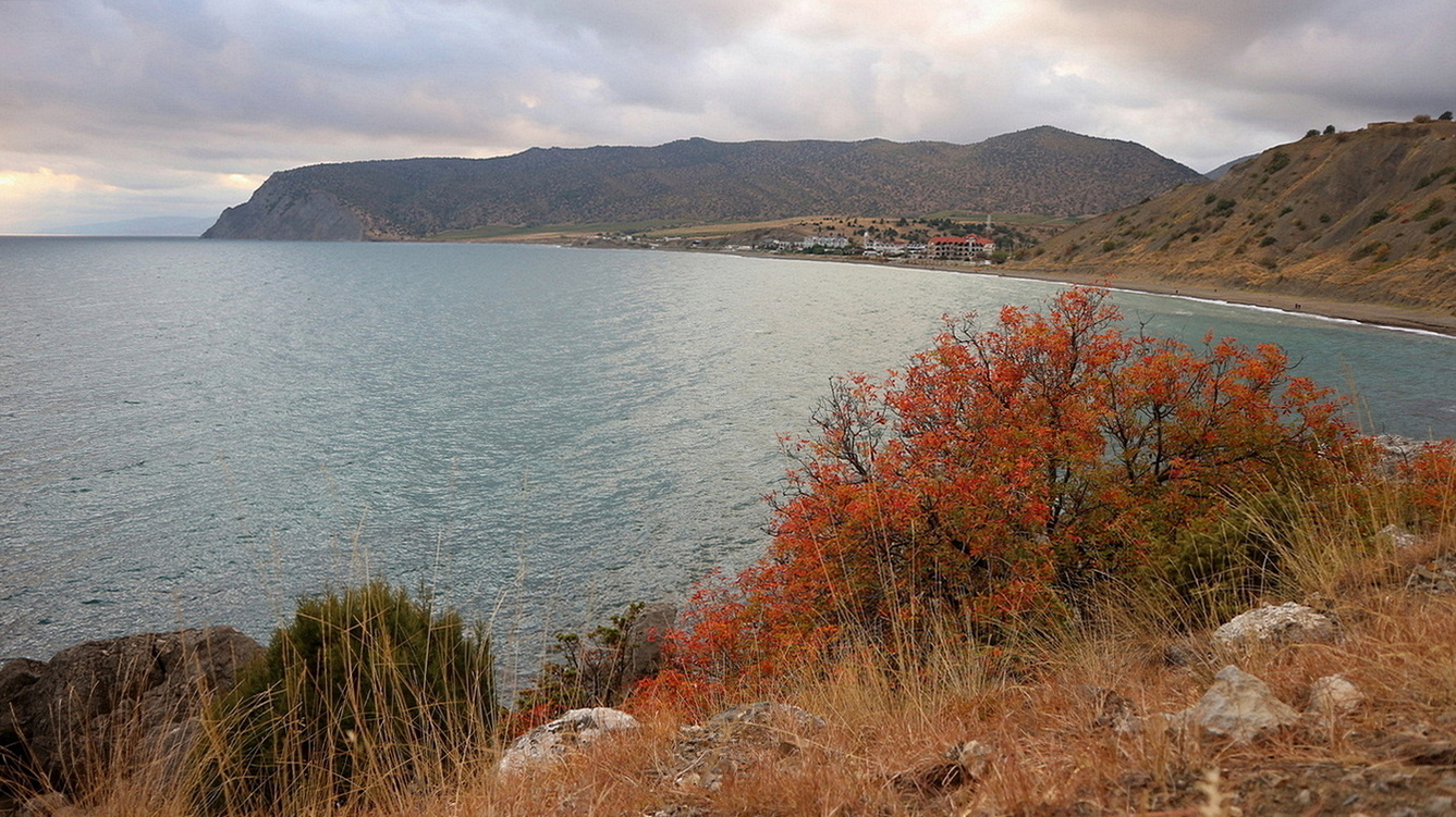 Кутлакская бухта, image of landscape/habitat.