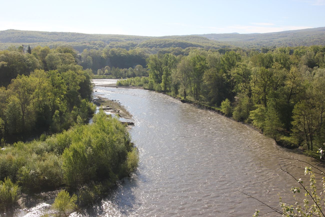 Урочище Холодное, image of landscape/habitat.