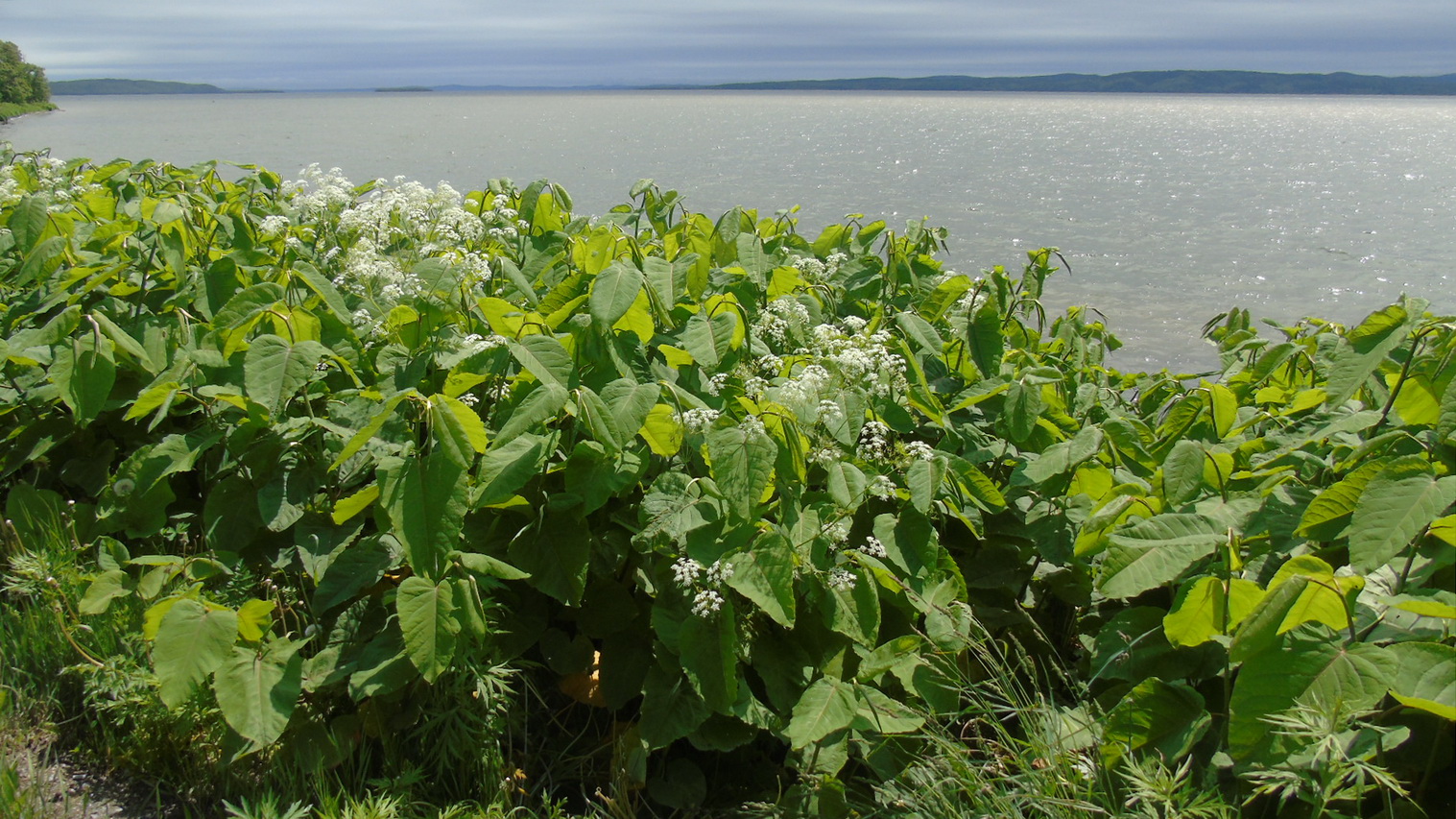 Село Охотское, изображение ландшафта.