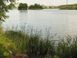 Image of landscape
