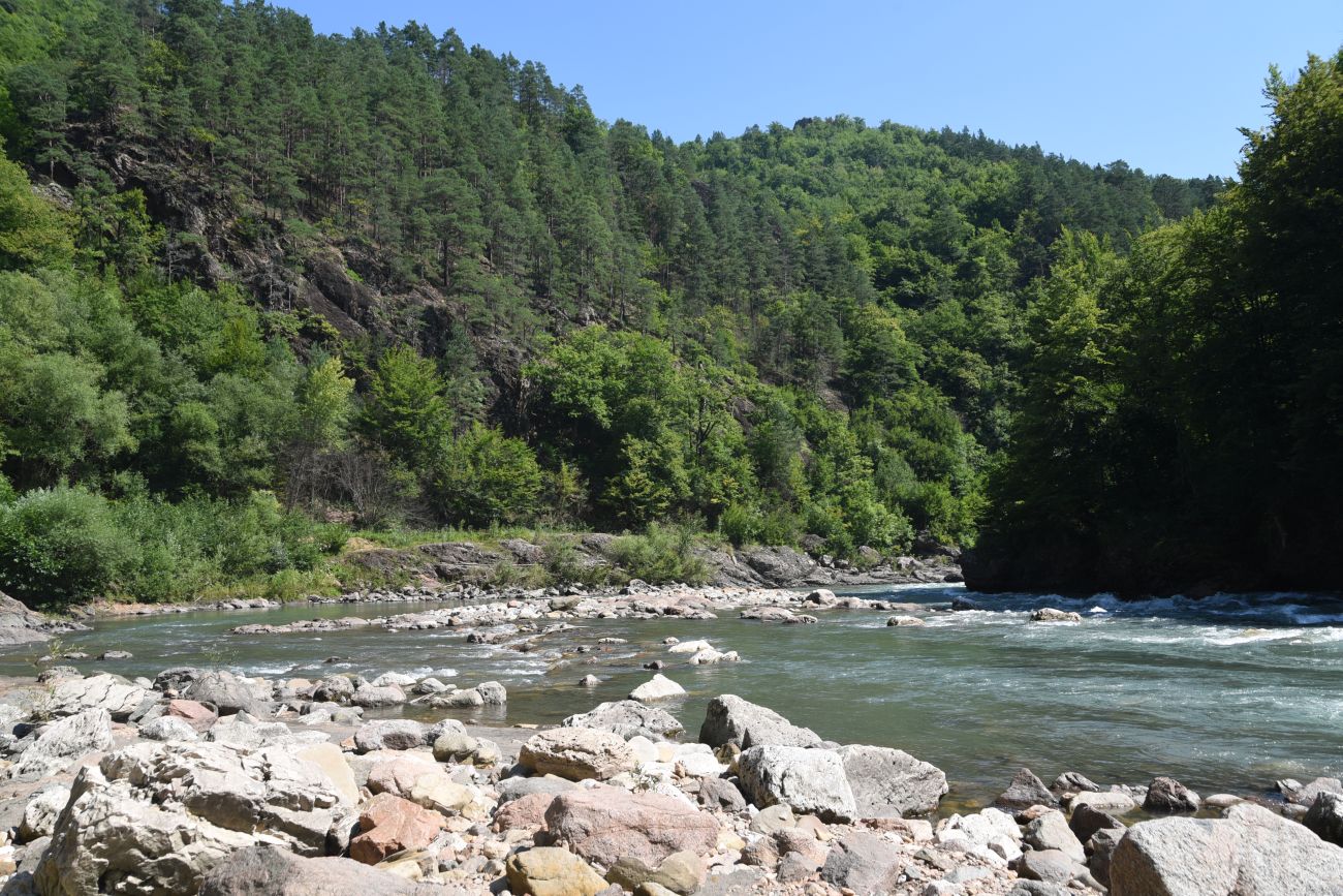 Устье ручья Сибирь и окрестности, image of landscape/habitat.