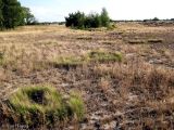 Image of landscape