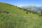 Бекаирбаши, image of landscape/habitat.