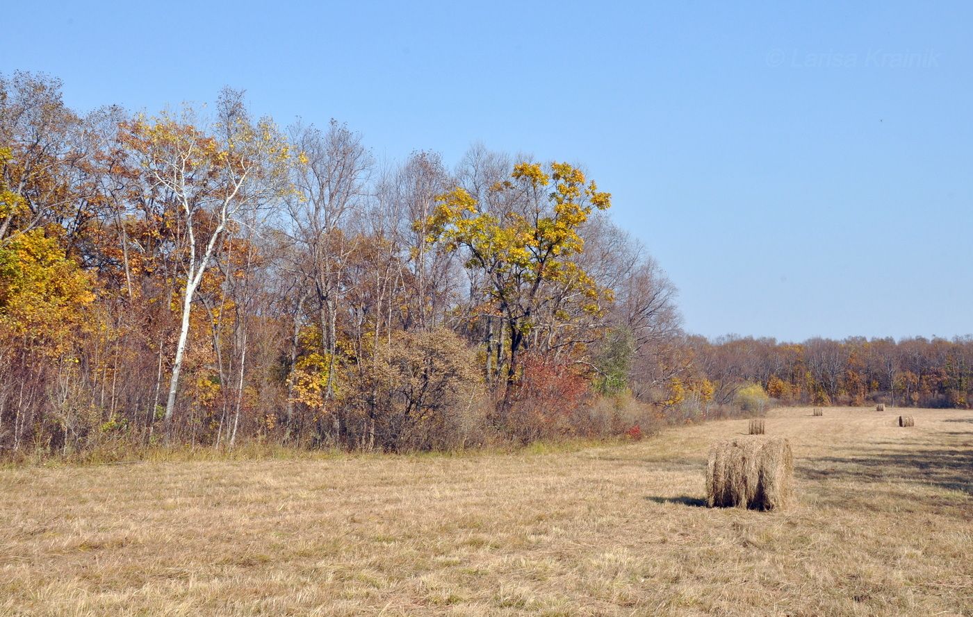 Монакино, изображение ландшафта.
