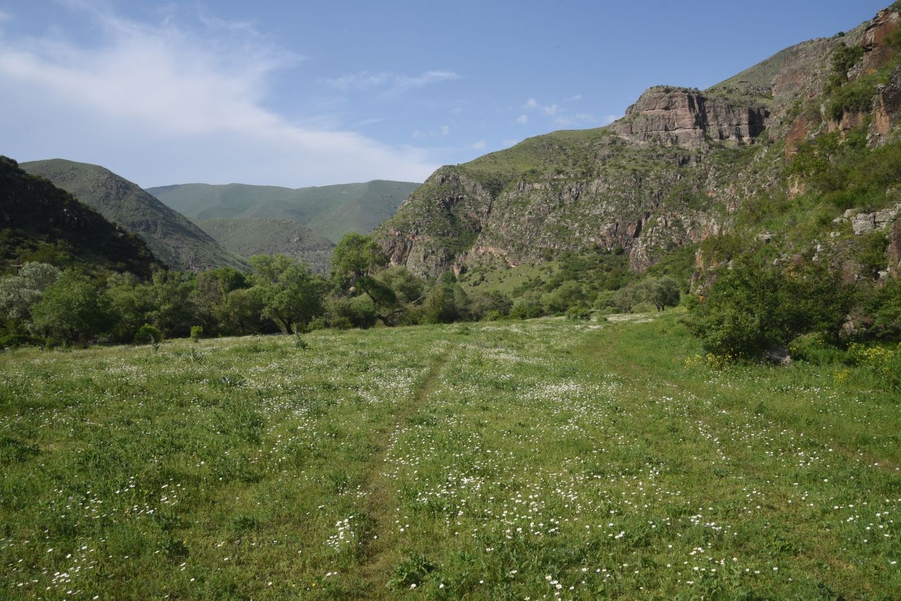 Урочище Тавкветула, изображение ландшафта.