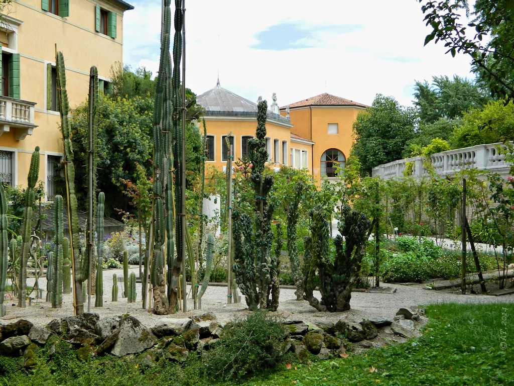 Ботсад Падуи (Orto Botanico), image of landscape/habitat.