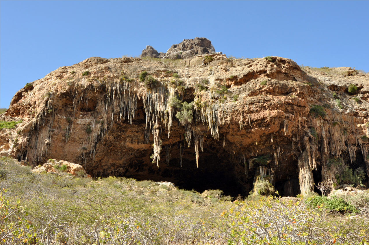 Окрестности деревни Аомак, image of landscape/habitat.