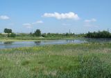 Город Иркутск, image of landscape/habitat.