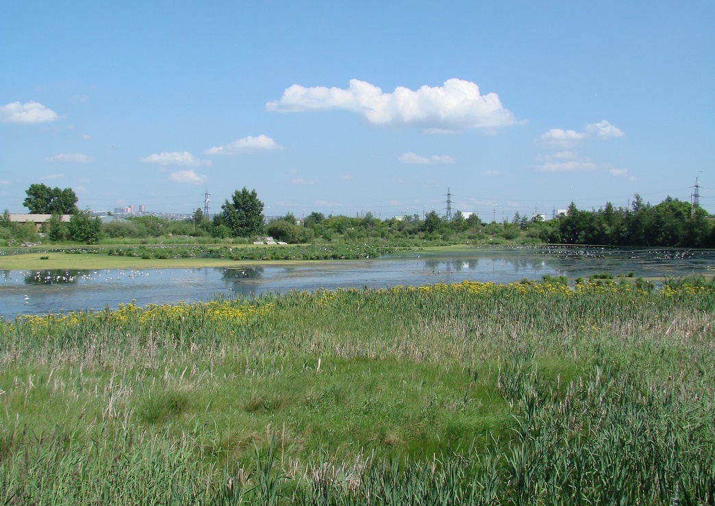 Город Иркутск, изображение ландшафта.