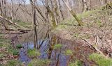 Щель Курортная, изображение ландшафта.