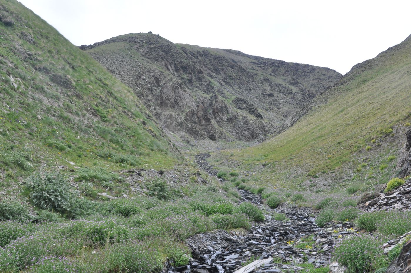 Долина ручья Чаухицхали, image of landscape/habitat.