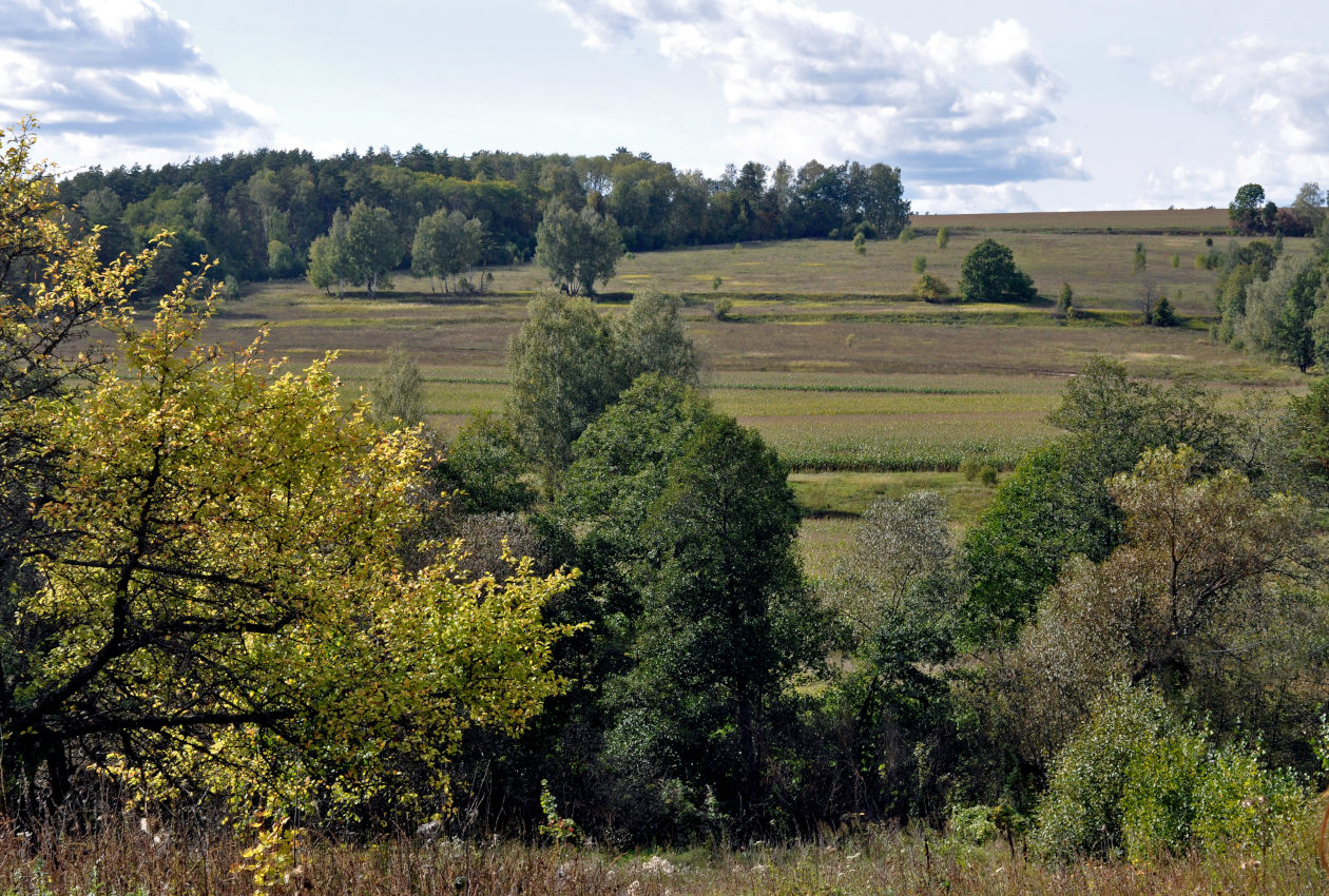 Долина реки Большая Смедова, image of landscape/habitat.