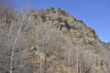 Image of landscape