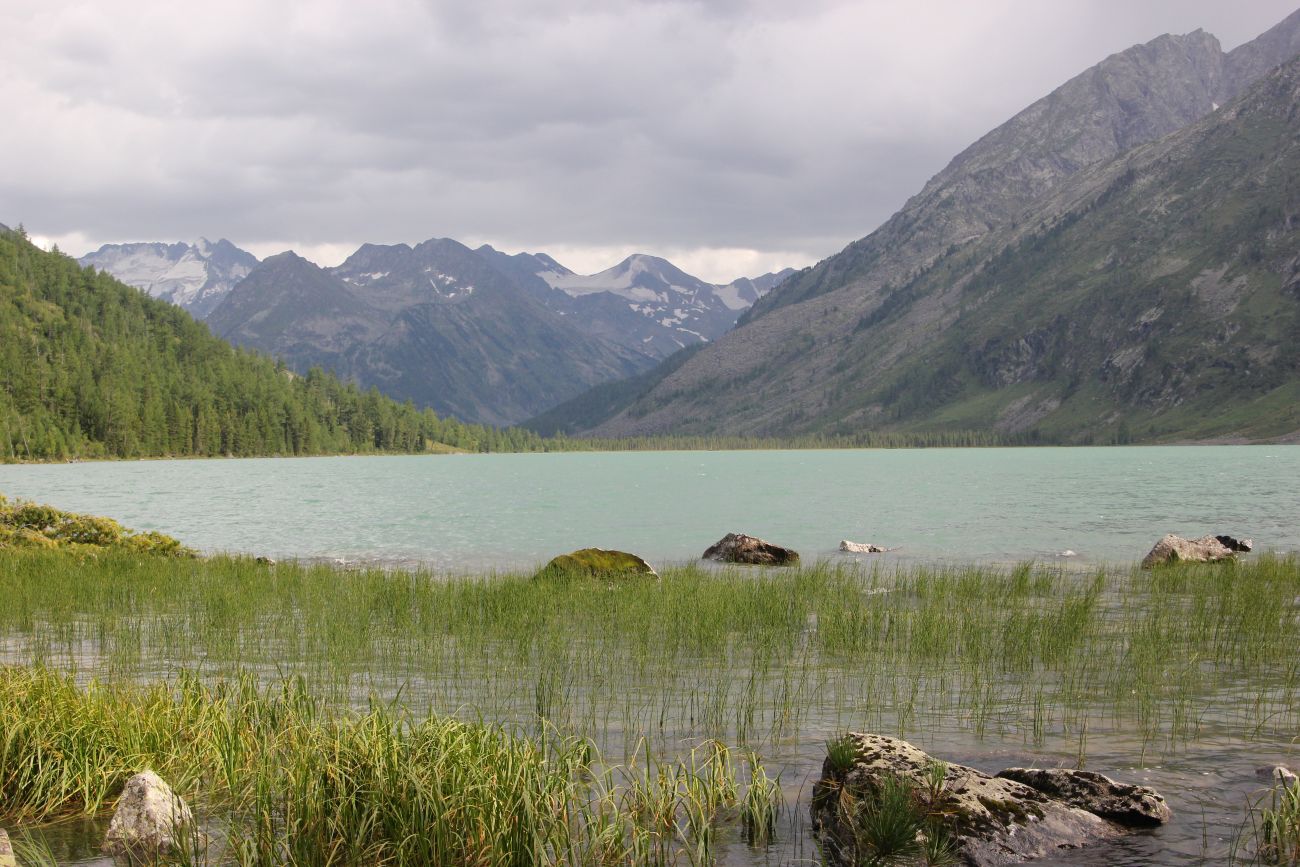 Среднее Мультинское озеро, image of landscape/habitat.