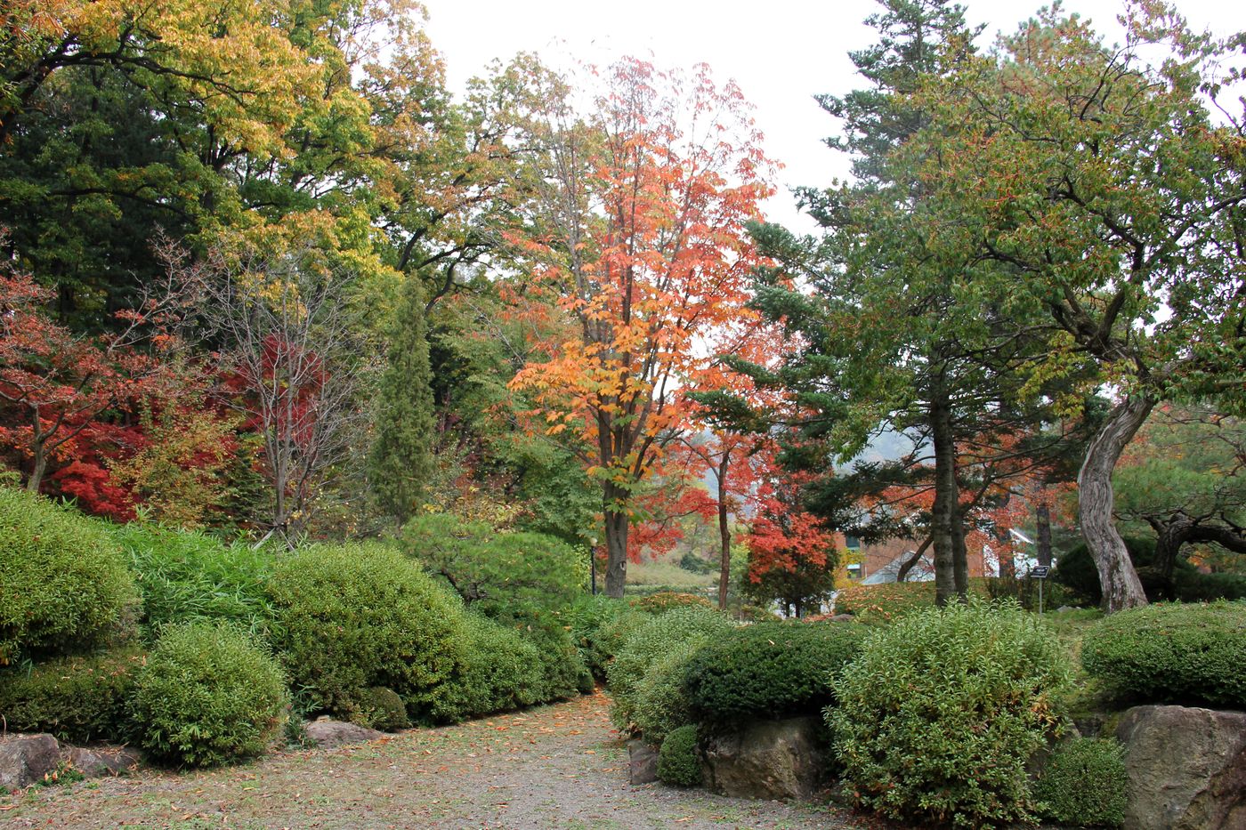 Korea National Arboretum (KNA), image of landscape/habitat.