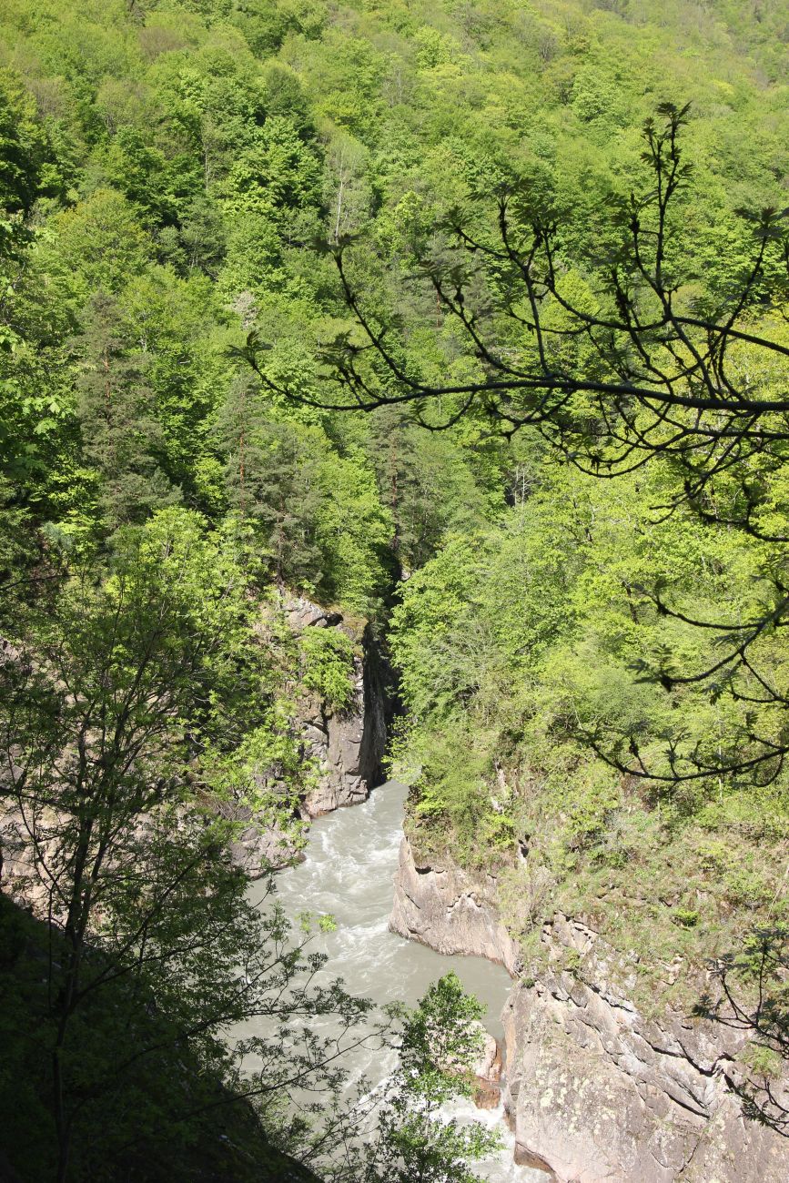 Гранитный каньон реки Белая, image of landscape/habitat.