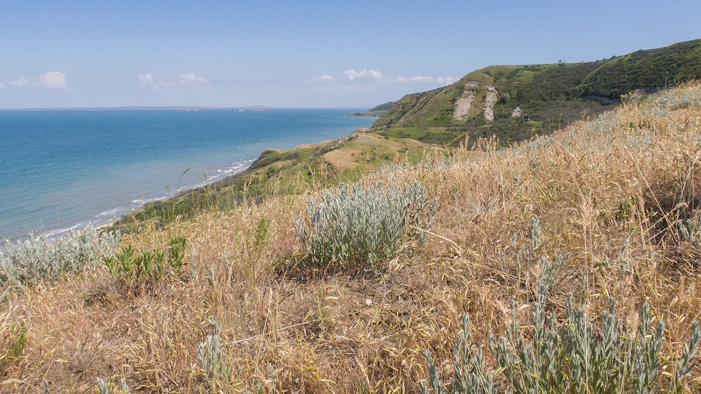 Урочище Широкая Балка, image of landscape/habitat.