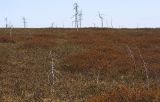 Лунский залив, image of landscape/habitat.