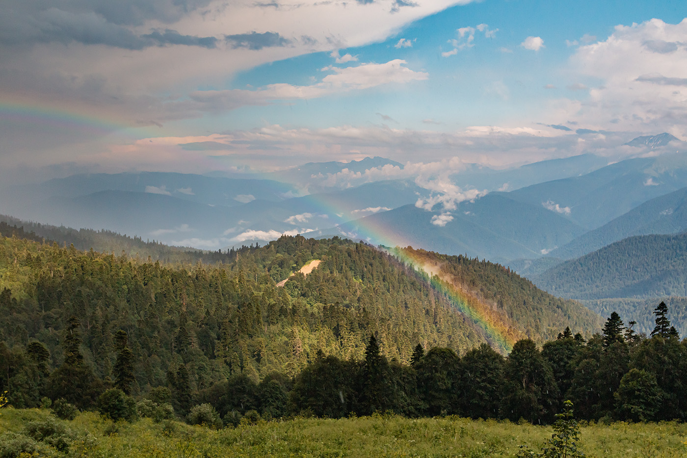 Яворова Поляна, image of landscape/habitat.