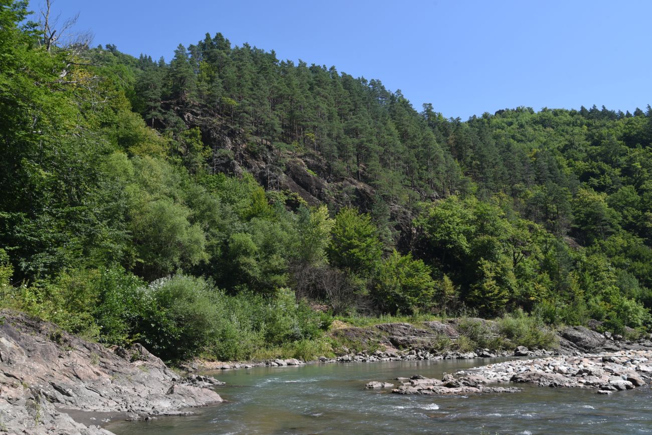 Устье ручья Сибирь и окрестности, image of landscape/habitat.