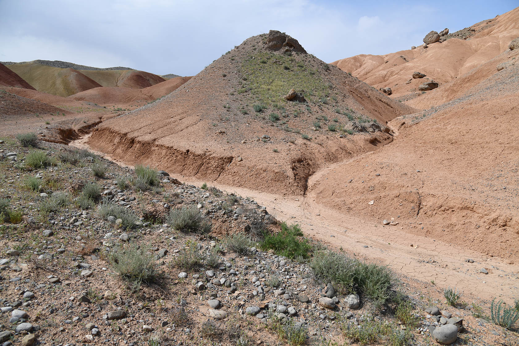 Исфара, image of landscape/habitat.