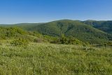 Image of landscape