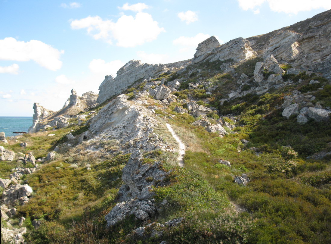 Джангуль, image of landscape/habitat.