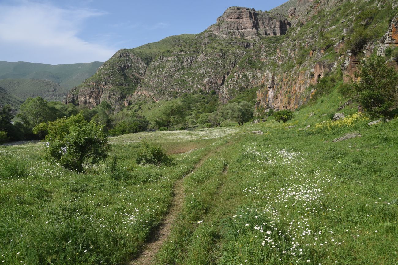 Урочище Тавкветула, изображение ландшафта.