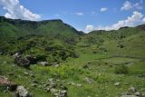 Урочище Бертахана, image of landscape/habitat.