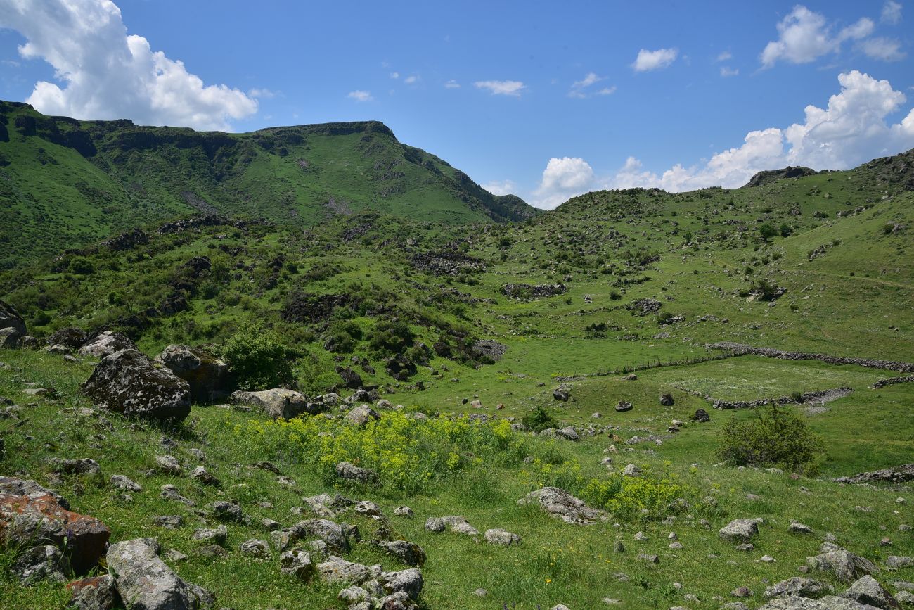 Урочище Бертахана, image of landscape/habitat.