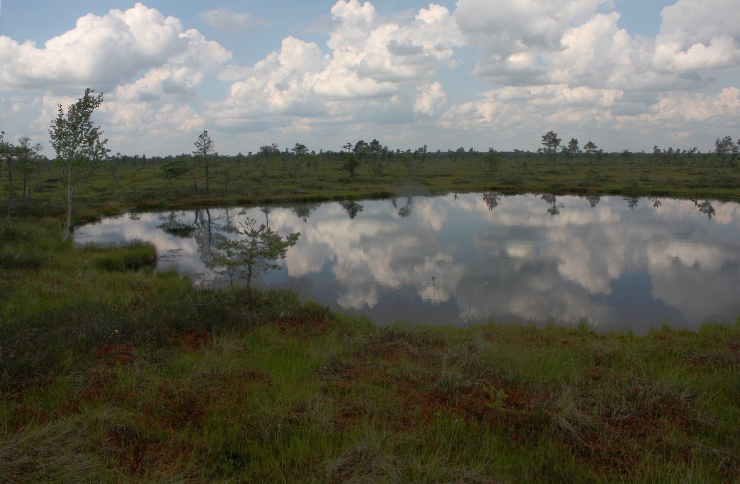 Соомаа, image of landscape/habitat.
