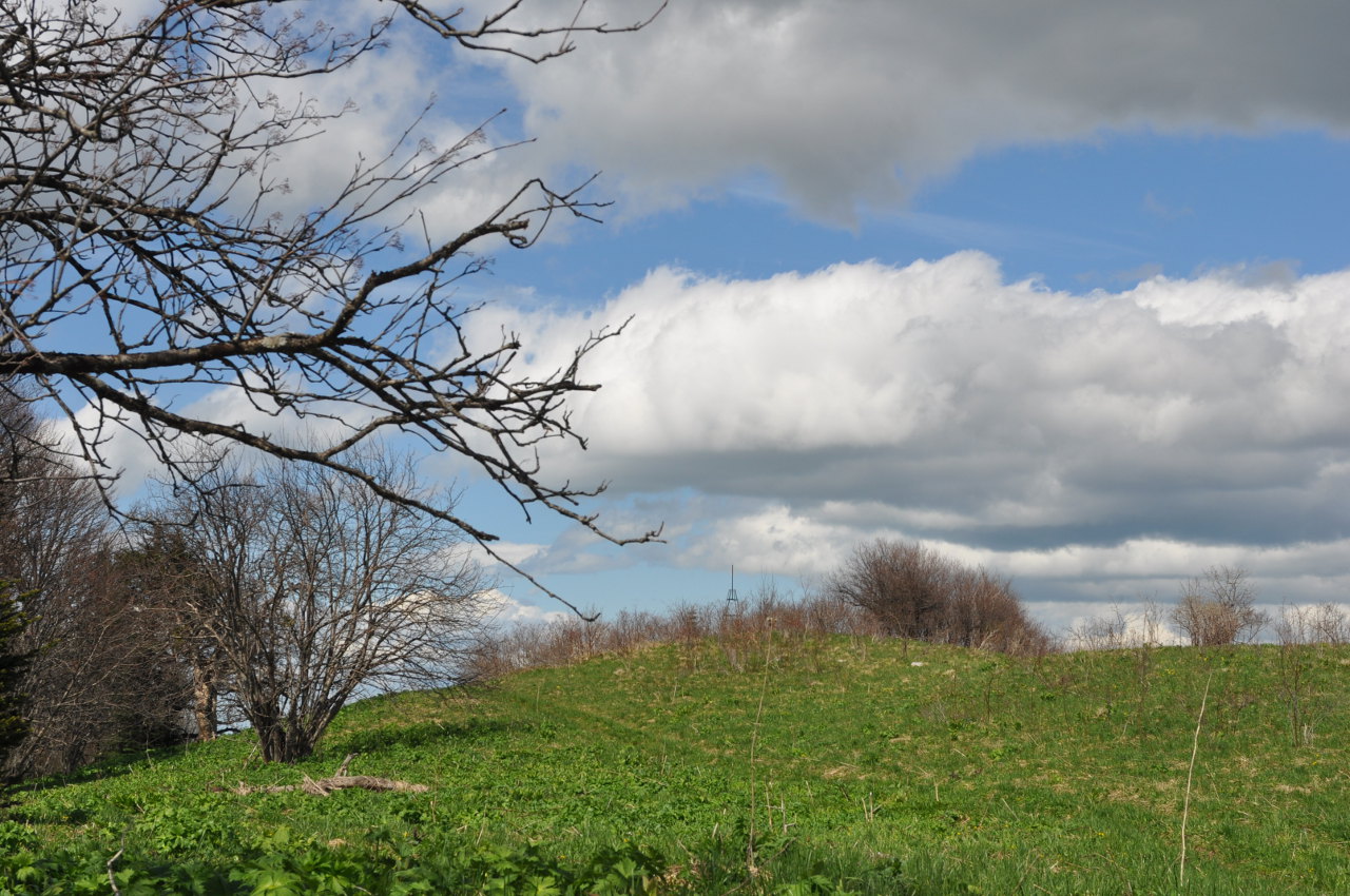 Гора Зауда, image of landscape/habitat.