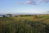Image of landscape