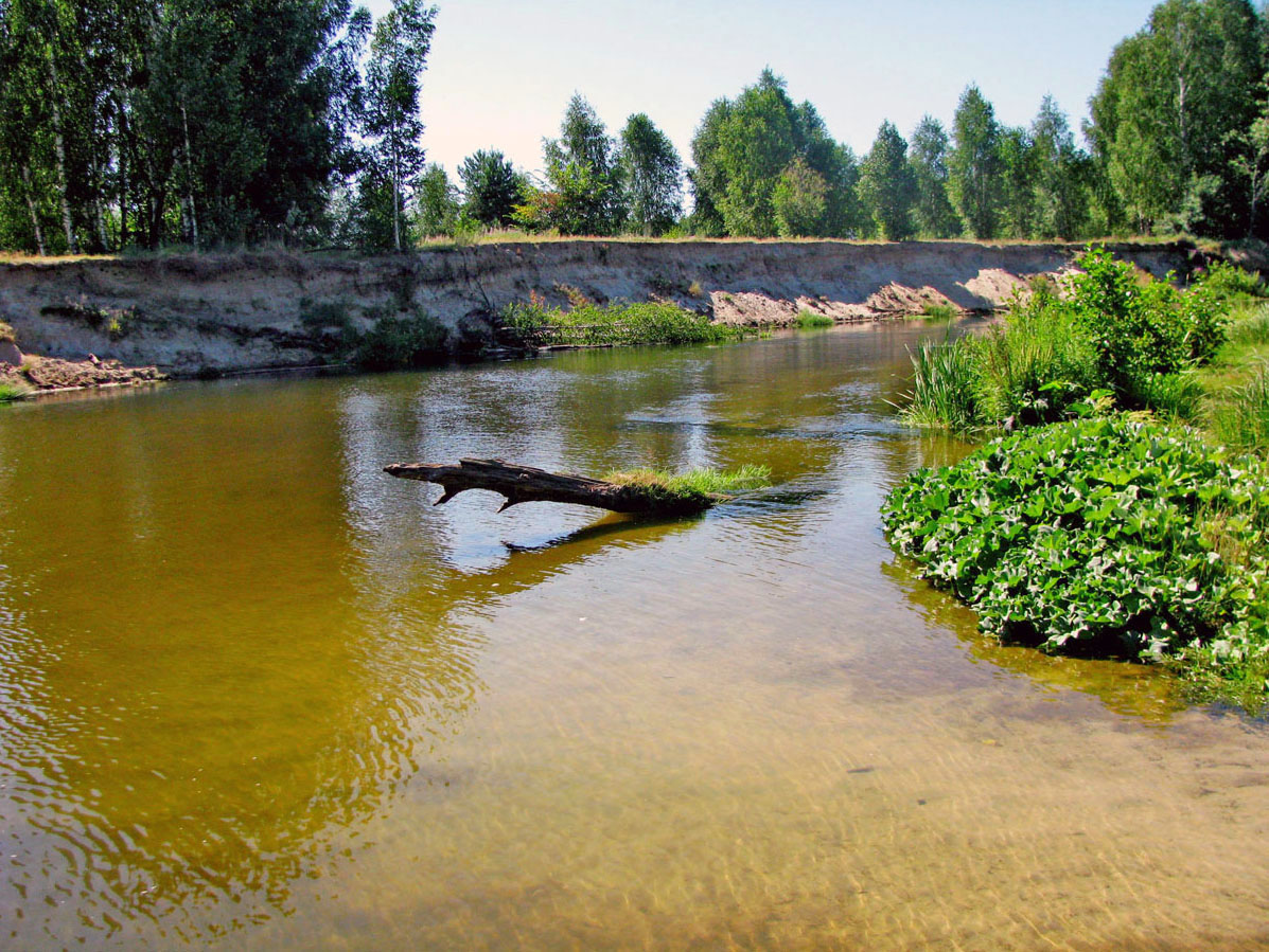 Река Узола, image of landscape/habitat.