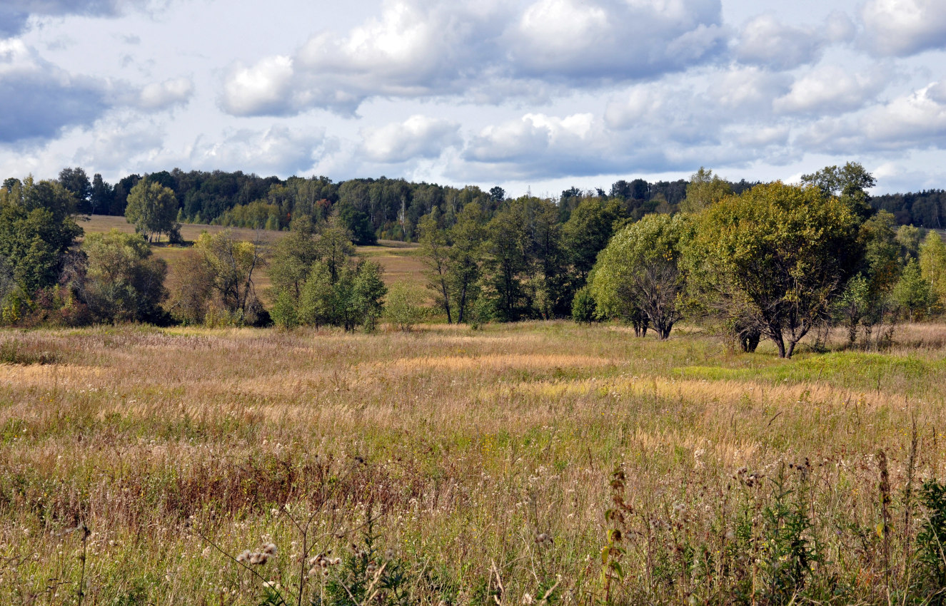 Долина реки Большая Смедова, image of landscape/habitat.