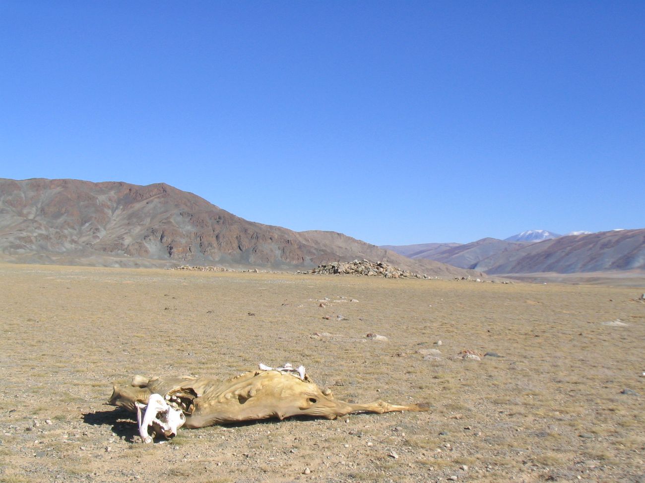 Котловина Могойт, изображение ландшафта.