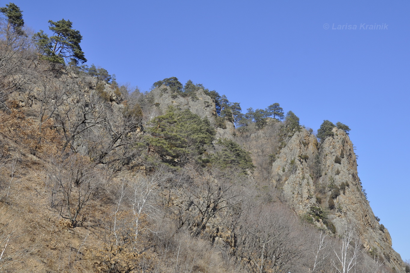 Окрестности села Староварваровка, image of landscape/habitat.